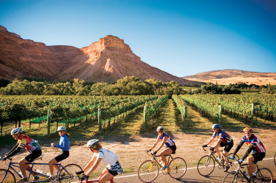 cyclists in the Grand Valley